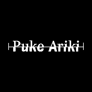 puke ariki v3